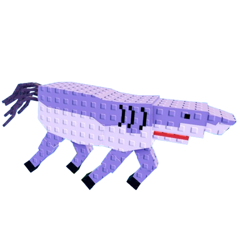 Squalo Cavallo
