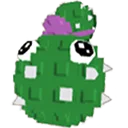 Cactus Seed