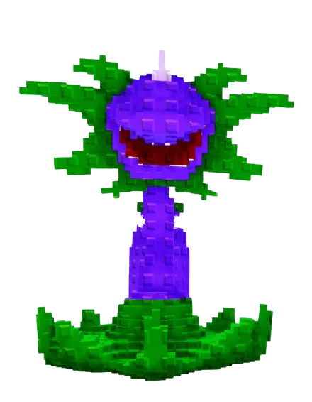 Carnivorous Plant Seed