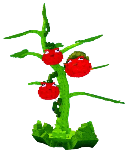 Tomatrio Seed