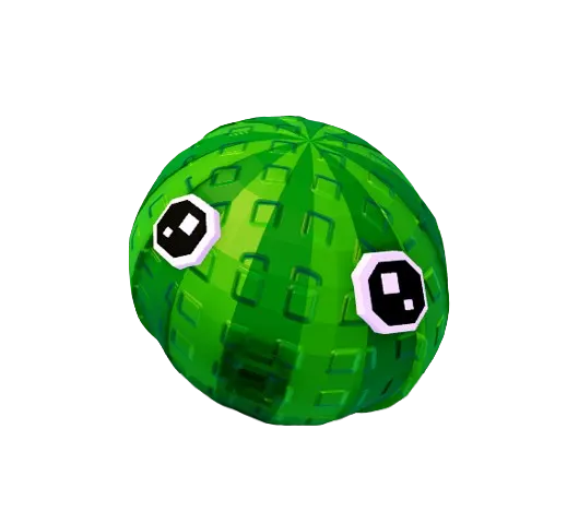 Watermelon Seed